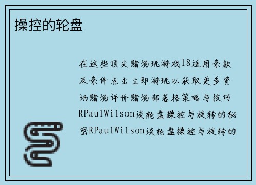 操控的轮盘 