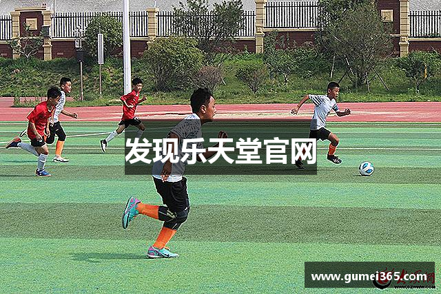 发现乐天堂官网
